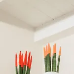 Appartement Alibi Loft