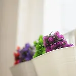Appartement Alibi Loft Ruvo di Puglia